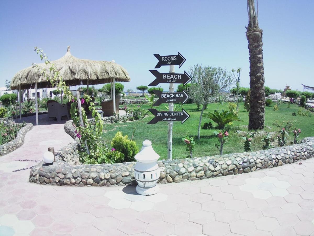 Dolphin Continental Hotel El Qoseir Экстерьер фото