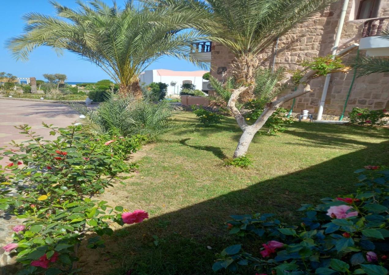 Dolphin Continental Hotel El Qoseir Экстерьер фото