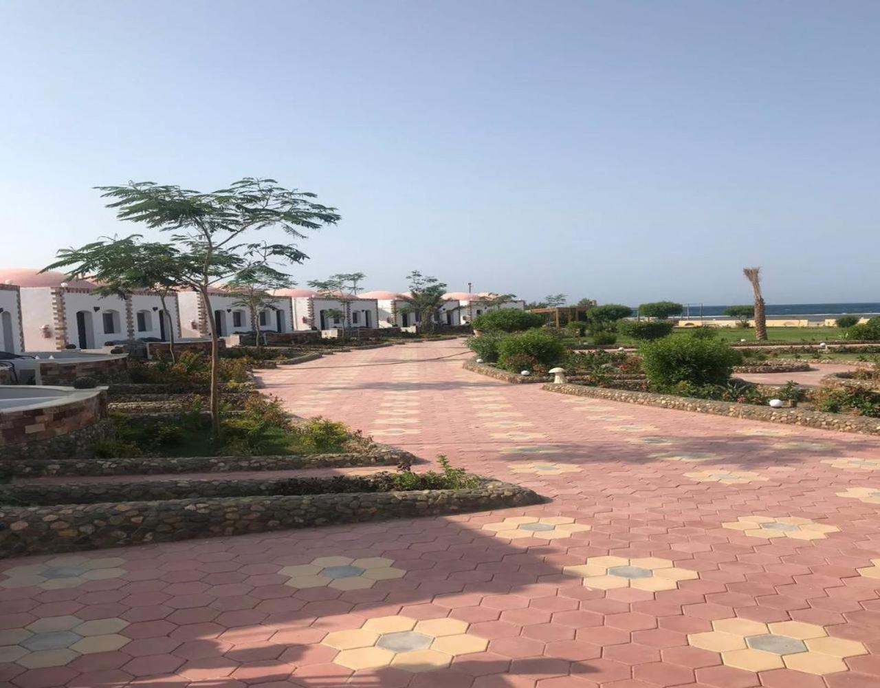 Dolphin Continental Hotel El Qoseir Номер фото