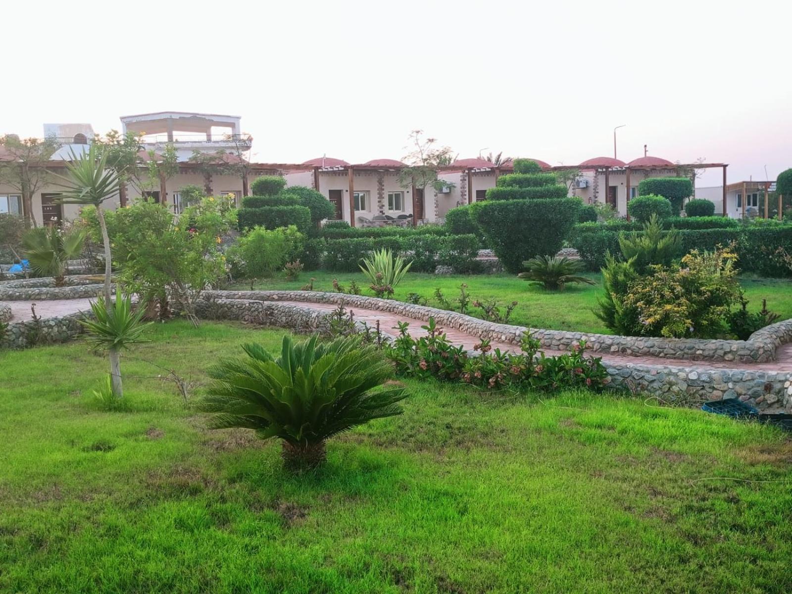 Dolphin Continental Hotel El Qoseir Экстерьер фото