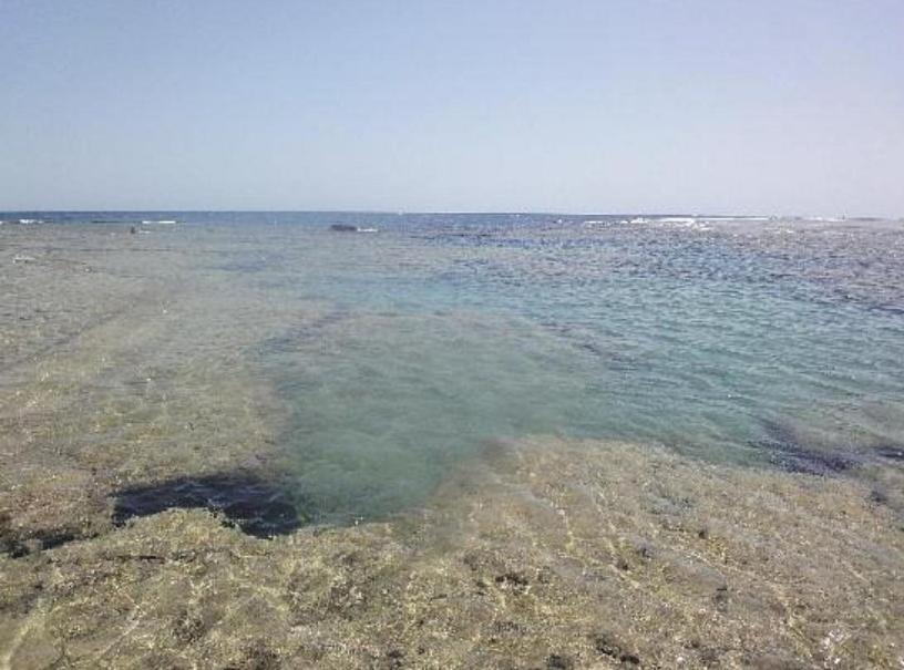 Dolphin Continental Hotel El Qoseir Экстерьер фото